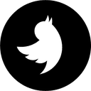 Twitter Icon